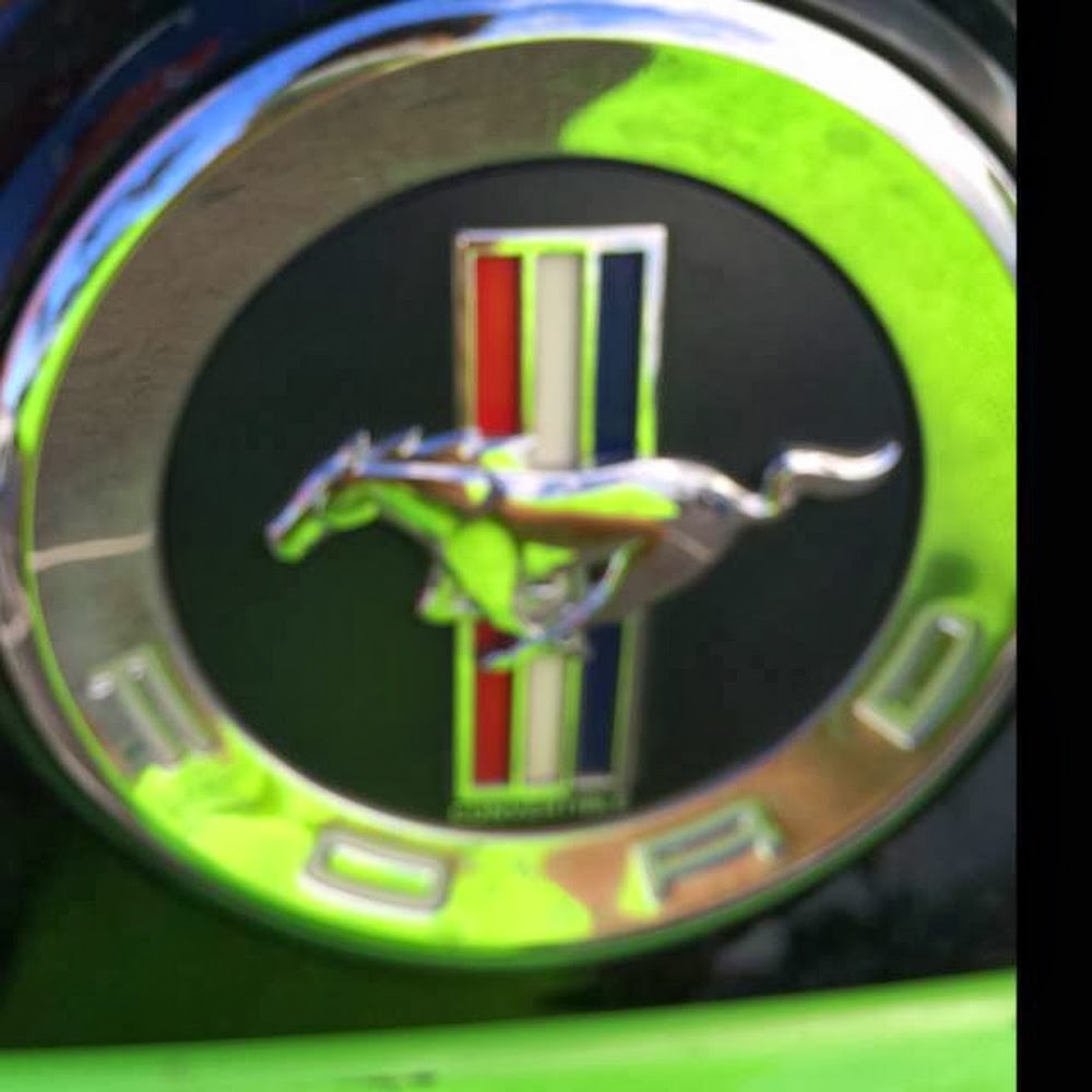 Meet your Posher, Mona